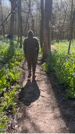 Into the wilderness 