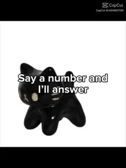 Say something…