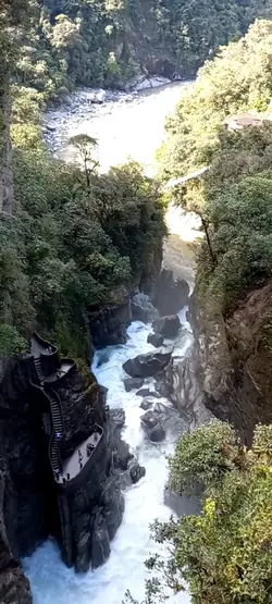 Nature 