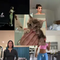 Kitty tyla dance 
