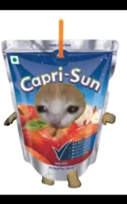 Sad cat meme