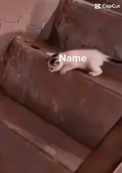 Name: 😂😂