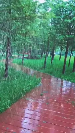 Rainstorm