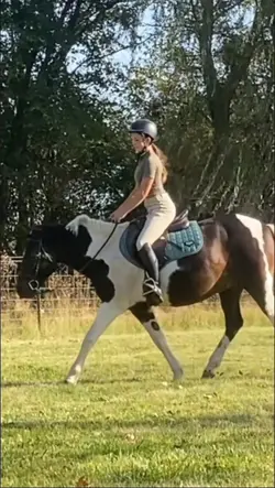 my lil hunter pony💗