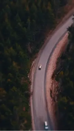 Trust the process 
