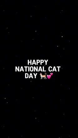 National cat day 💕
