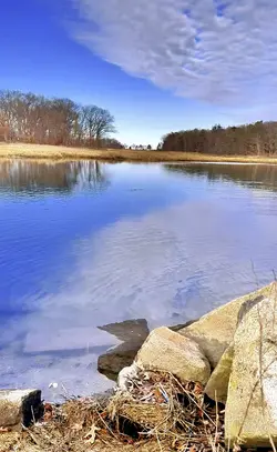 Natures 