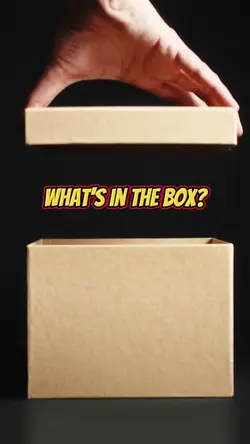 What's In The Box?
