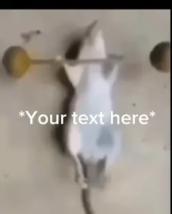 I have no words