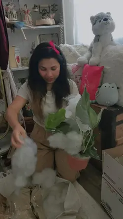 Unboxing 