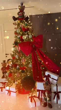 Merry Christmas 🎁🎄 