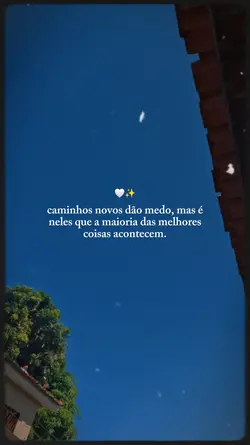 Caminhos novos