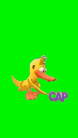 CAP duck 
