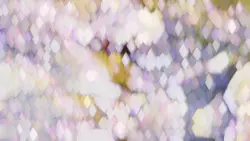 Relax nature ASMR 85