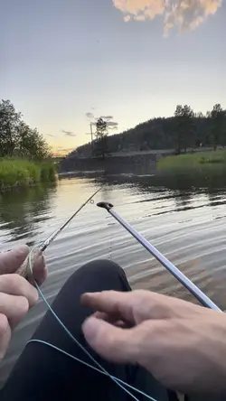 Huge fish 