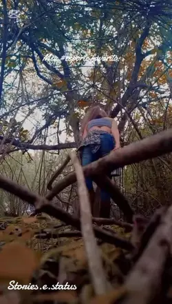 Subindo na árvore 