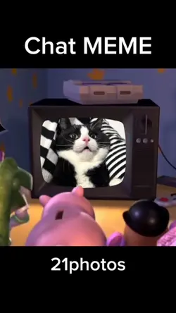 chat MEME