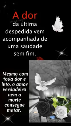 luto 