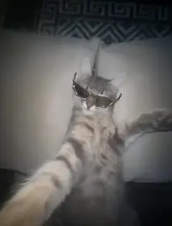 Mogger