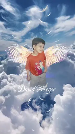 David Forever 