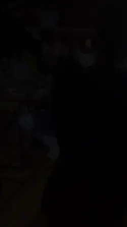 Demostração 