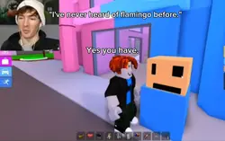 Flamingo 