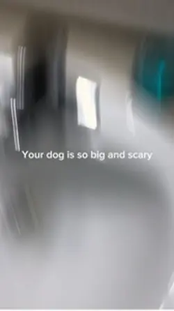 My doggo