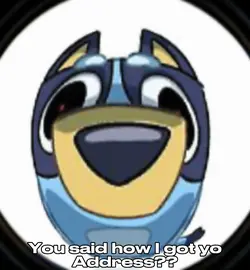 BLUEY NOT YOU