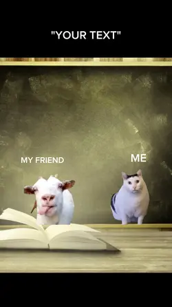 Meme