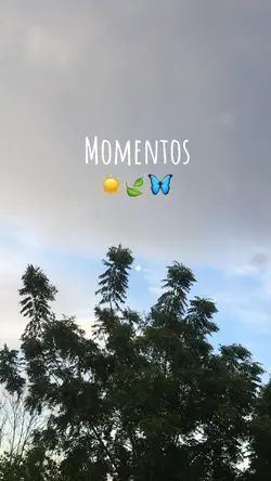 Vlog🍃☀️🌵
