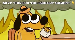 This is fine 🥲
