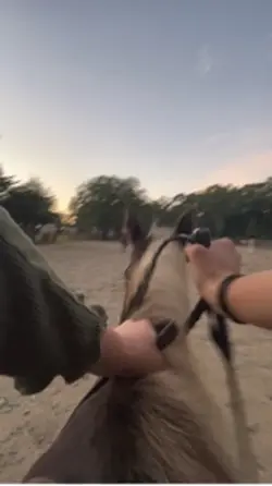 Tango 💗