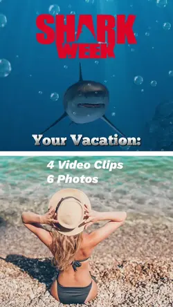 Shark Week Vacation