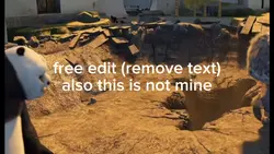 free edit (not mine)