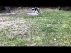 Jump
