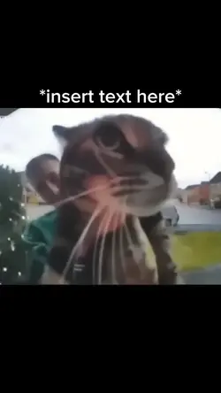 Cat Meme Mewh 