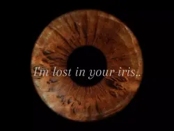 Brown iris 