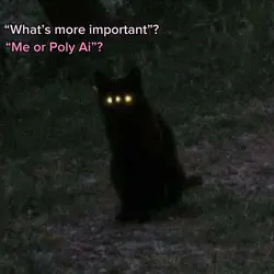 Poly Ai! 