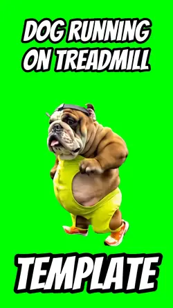 Dog running on Tread