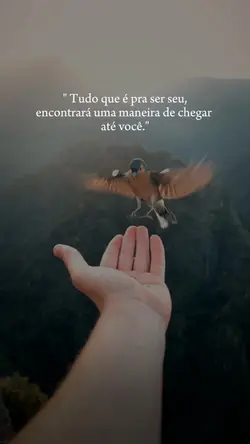 Reflexão 