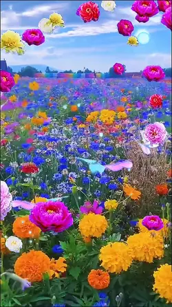 In the flowers