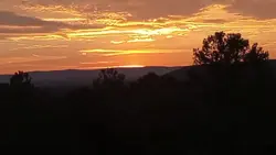 lion king moment