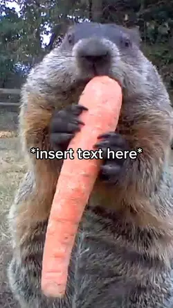 Beaver Eating 