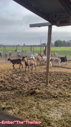Farm life
