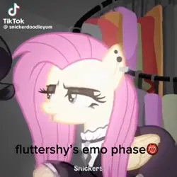 fluttershy🖤