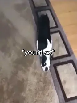 Sad dog 
