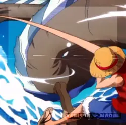 Luffy! 