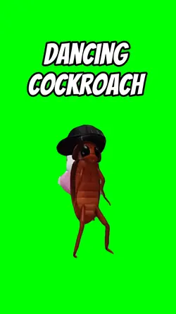 Dancing cockroach 