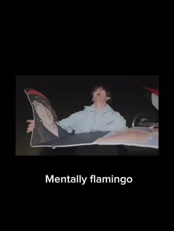 Mentally flamingo
