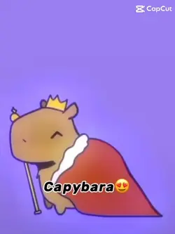Capybara 😍😍😍